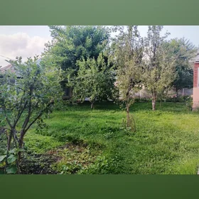 In Qəbələ 600.0 m² house with 5.0 rooms is for sale - Image 2