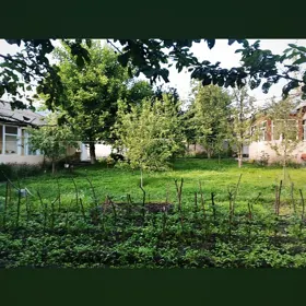 In Qəbələ 600.0 m² house with 5.0 rooms is for sale - Image 4