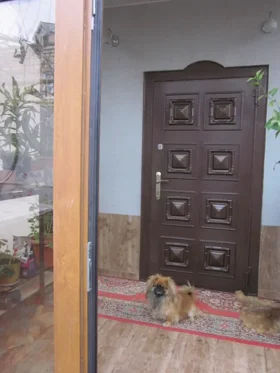 Khirdalan-da 17.0 otaqlı 650.0 m2 bağ satılır - Şəkil 4