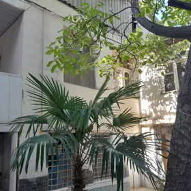 In Baku 120.0 m² apartment is for rent - Image 4
