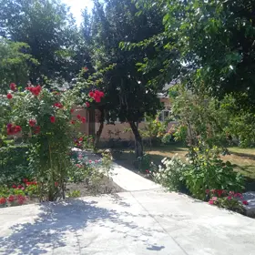 In Qəbələ 600.0 m² house with 5.0 rooms is for sale - Image 2