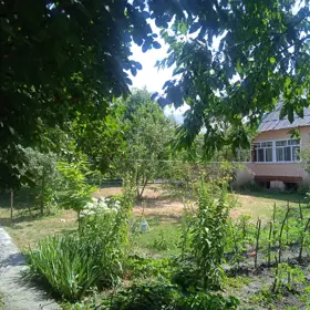 In Qəbələ 600.0 m² house with 5.0 rooms is for sale - Image 5