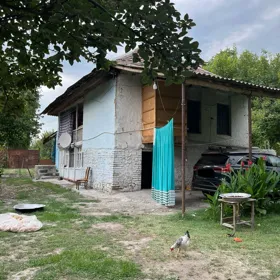 In Sheki 500.0 m² house with 6.0 rooms is for sale - Image 3