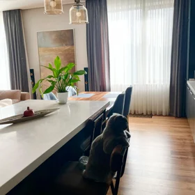 In Baku 143.0 m² apartment is for sale - Image 4