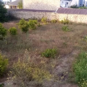 In nan nan acre land is for sale - Image 2