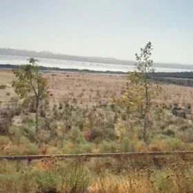 In Baku nan acre land is for sale - Image 3