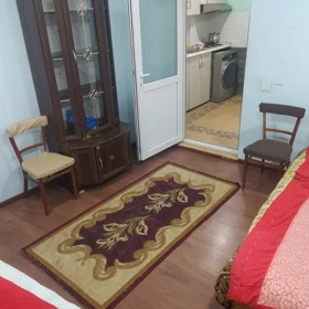 Baku-da 1.0 otaqlı 30.0 m2 bağ kirayə verilir - Şəkil 4