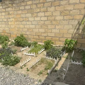 Baku-da 5.0 otaqlı 200.0 m2 bağ satılır - Şəkil 4