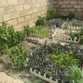 Baku-da 5.0 otaqlı 200.0 m2 bağ satılır - Şəkil 5