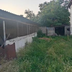 In Khachmaz 40.0 m² house with 6.0 rooms is for sale - Image 2