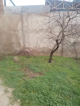 In Baku 175.0 m² house with 9.0 rooms is for sale - Image 2
