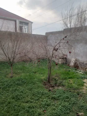 In Baku 175.0 m² house with 9.0 rooms is for sale - Image 3