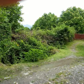 In Qəbələ rayonu nan acre land is for sale - Image 3