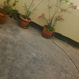 In Baku 40.0 m² apartment is for sale - Image 4