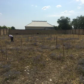 In Şamaxı rayonu nan acre land is for sale - Image 3
