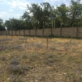 In Şamaxı rayonu nan acre land is for sale - Image 4