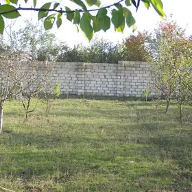 In Quba rayonu nan acre land is for sale - Изображение 3