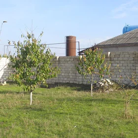 In Quba rayonu nan acre land is for sale - Изображение 4