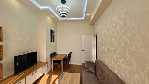 In Baku 55.0 m² apartment is for rent - Image 4