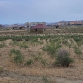 In Baku nan acre land is for sale - Image 4