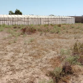 In Baku nan acre land is for sale - Image 3