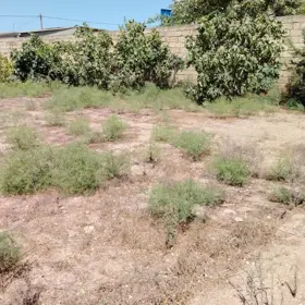 In Baku nan acre land is for sale - Image 4