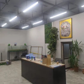 In Baku 65.0 m² commercial is for rent