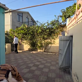 In nan 50.0 m² house with 2.0 rooms is for sale - Image 2