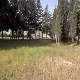 In Baku nan acre land is for sale - Изображение 2