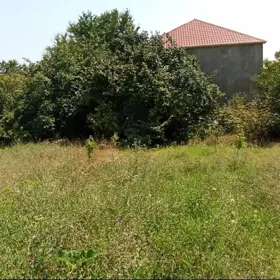 In Quba rayonu nan acre land is for sale - Изображение 2