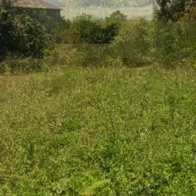 In Quba rayonu nan acre land is for sale - Изображение 3