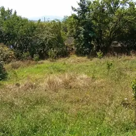 In Quba rayonu nan acre land is for sale - Изображение 4