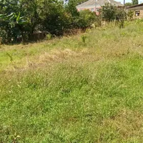 In Quba rayonu nan acre land is for sale - Изображение 5