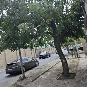 In Sumgayit 1111.0 m² apartment is for rent - Изображение 2