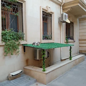 Baku-da 61.0 m2 mənzil kirayə verilir - Şəkil 2