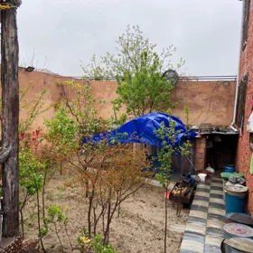 Baku-da 5.0 otaqlı 300.0 m2 bağ satılır - Şəkil 5