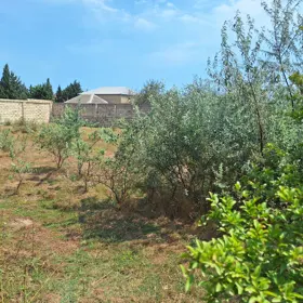 In Sumgayit nan acre land is for sale - Изображение 4