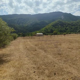 In Oğuz nan acre land is for sale