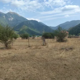 In Oğuz nan acre land is for sale - Изображение 2