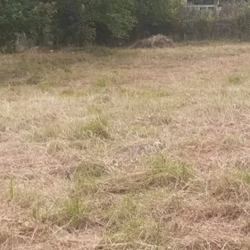 In Oğuz nan acre land is for sale - Изображение 4