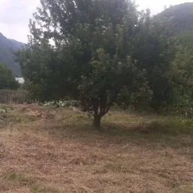 In Oğuz nan acre land is for sale - Изображение 5