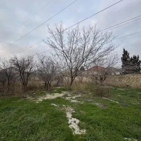 Baku-da nan sot torpaq satılır - Şəkil 2