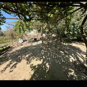 Baku-da nan sot torpaq satılır - Şəkil 2