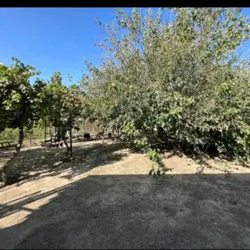 Baku-da nan sot torpaq satılır - Şəkil 4