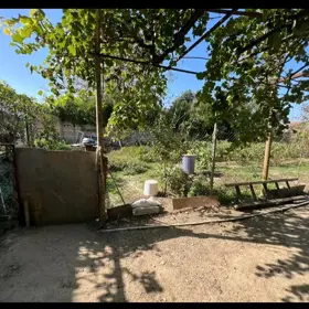 Baku-da nan sot torpaq satılır - Şəkil 5