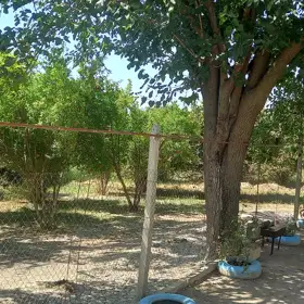 Ağsu-da 3.0 otaqlı 100.0 m2 bağ satılır - Şəkil 4