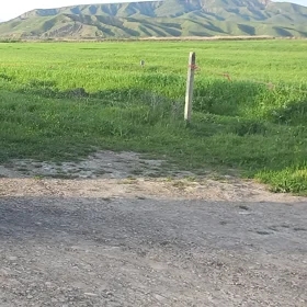 Ağsu-da 3.0 otaqlı 100.0 m2 bağ satılır - Şəkil 5