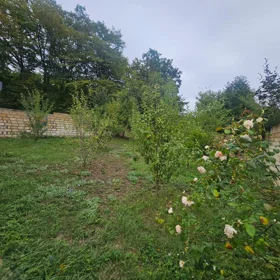 Qusar rayonu-da 4.0 otaqlı 120.0 m2 bağ satılır - Şəkil 2