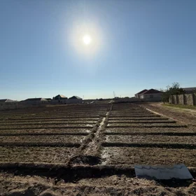 nan-da nan sot torpaq satılır - Şəkil 5