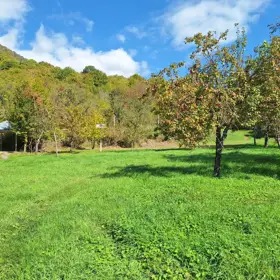 In Qəbələ nan acre land is for sale - Изображение 2